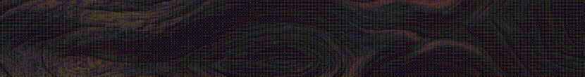 Banner Platinum Rotativo 830 X 110 (2)